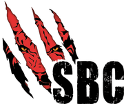 Sport Body Contact